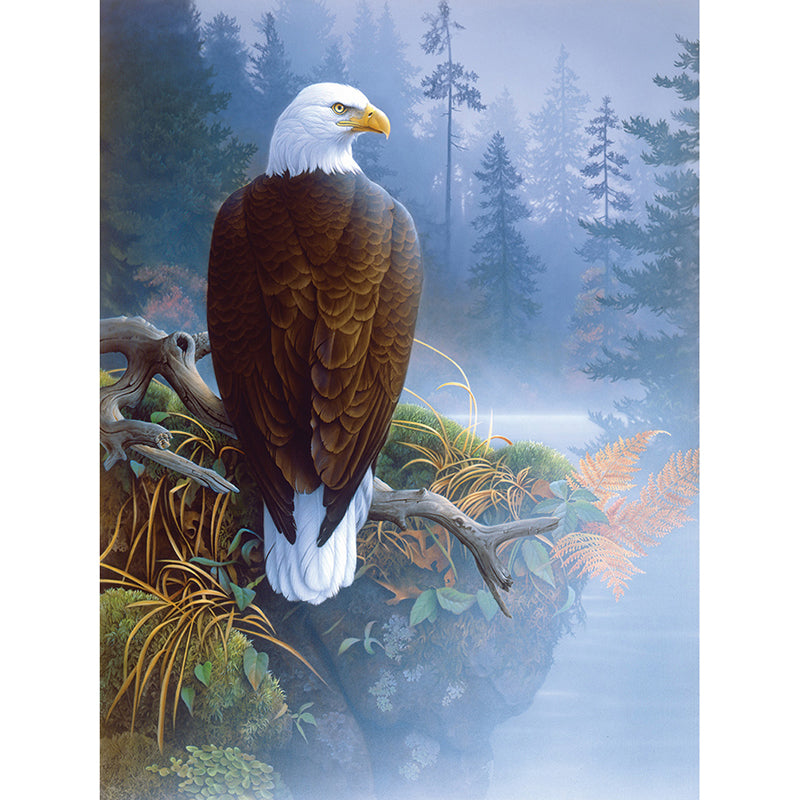 DIY Diamond Painting Cross Stitch Mosaic Alone Eagle 5D Home Decor Diamond Embroidery Kids Gift KBL