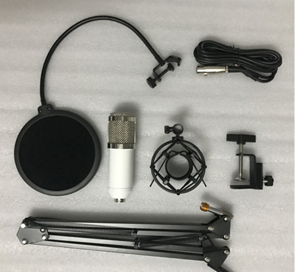 BM800 Microphone Set