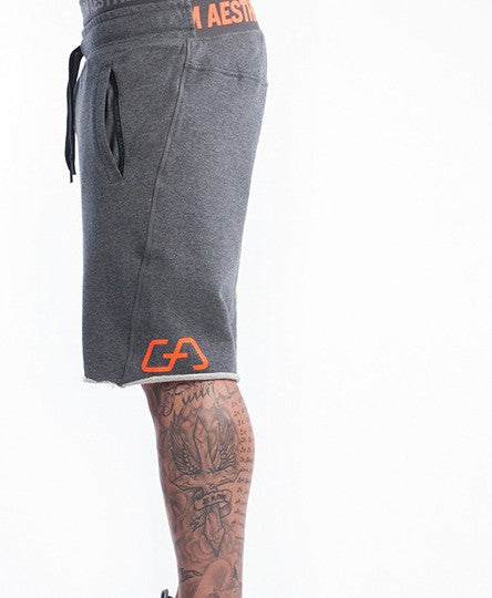 Men's Fitness Workout Shorts
