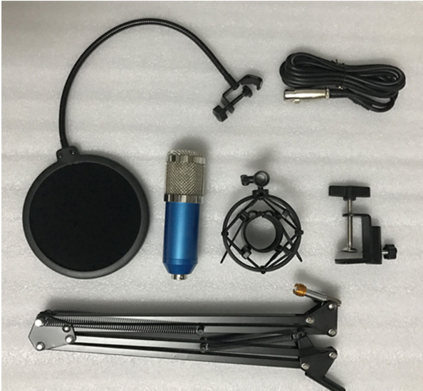 BM800 Microphone Set
