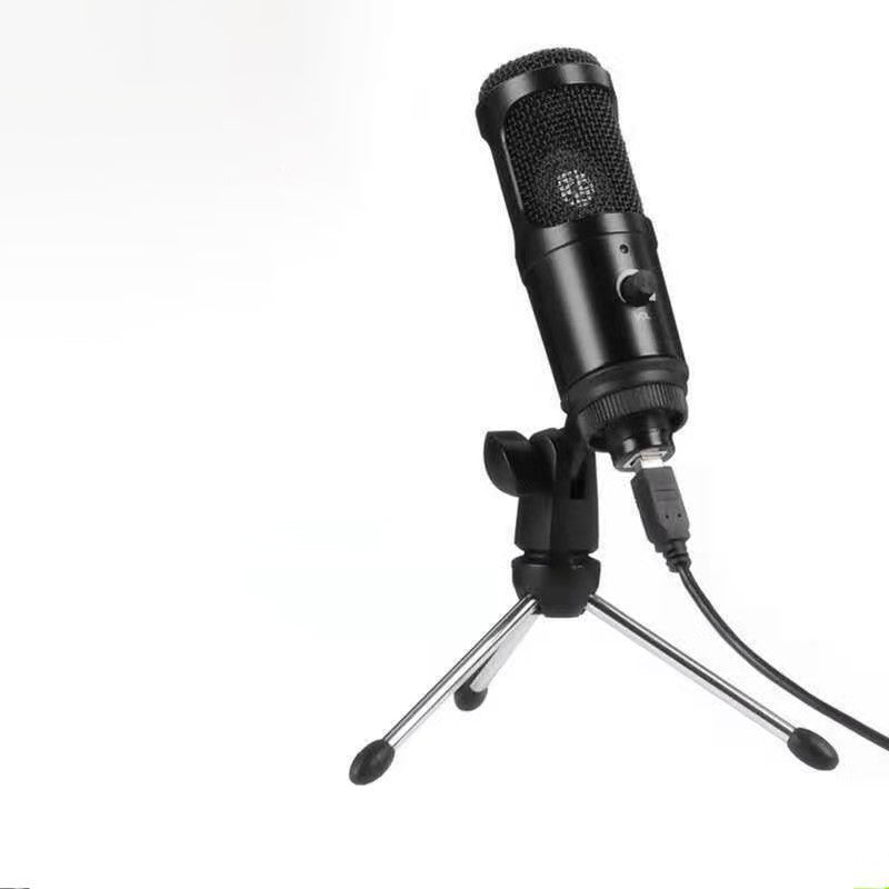 Wired K Song Microphone