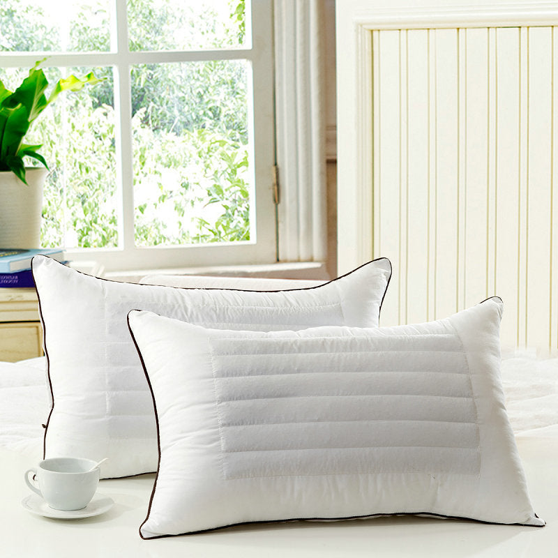 Wholesale Buckwheat Pillows