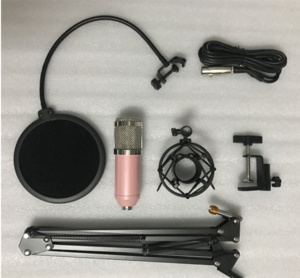 BM800 Microphone Set