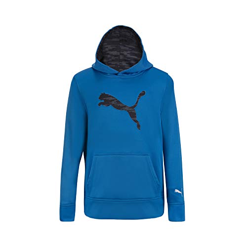 PUMA Boys' Big Cat Hoodie