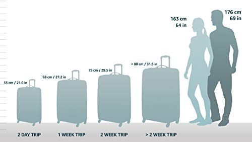 American Tourister Fieldbrook II Softside Upright Luggage Set, Red/Black, 3-Piece (tote/21/25)