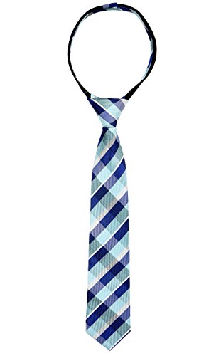 Spring Notion Boys' Pre-tied Zipper Tie - Blue Checkered