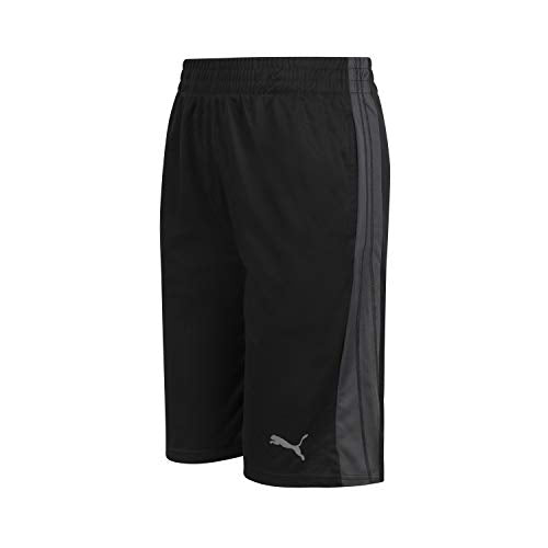 Puma Boys' Form Stripe Short Shorts