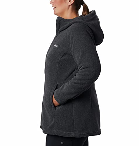 Benton Springs Long Hoodie
