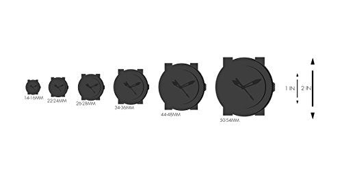 Timex Easy Reader Leather Watch