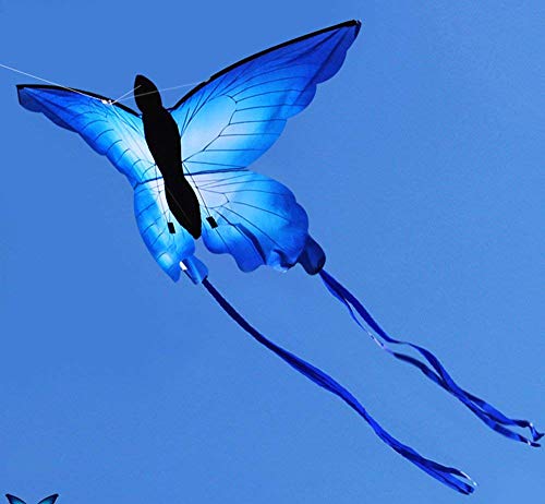 Beautiful Butterfly Kite for Kids by HENGDA
