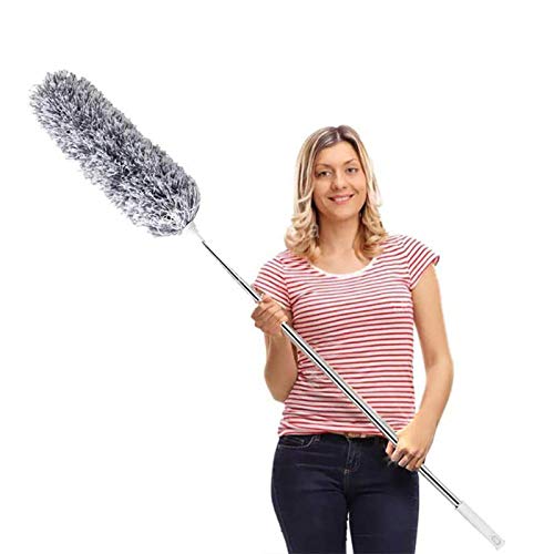 DELUX Microfiber Duster with Extendable Pole