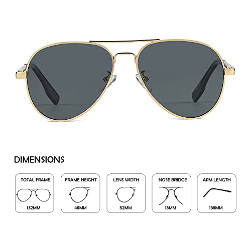 Polarized Aviator Sunglasses (Gold/Grey)