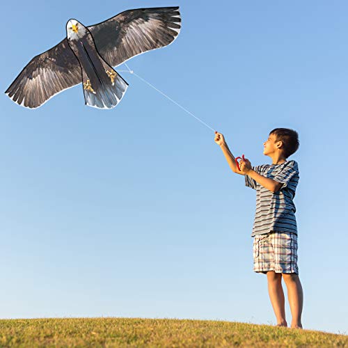 Bald Eagle Kite for Kids and Adults