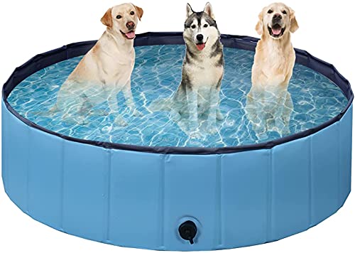 Foldable Snapset Kiddie Pool