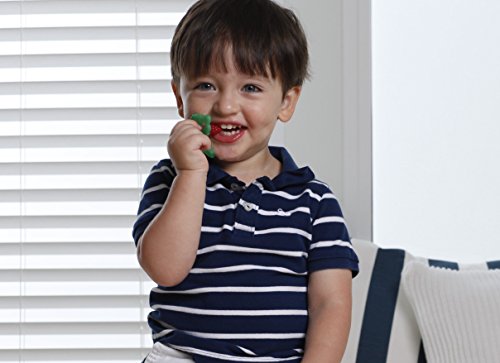 RaZbaby RaZberry Silicone Baby Teether Toy