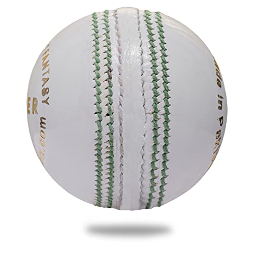 Cricnix  Premium Leather Cricket Ball