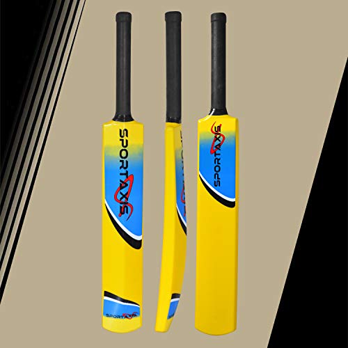 SPORTAXIS Premium Backyard Cricket Set