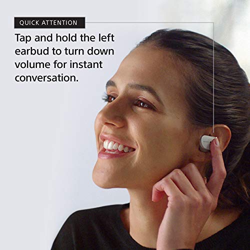 Sony WF-1000XM3 Noise Cancelling Earbuds with Alexa, Black