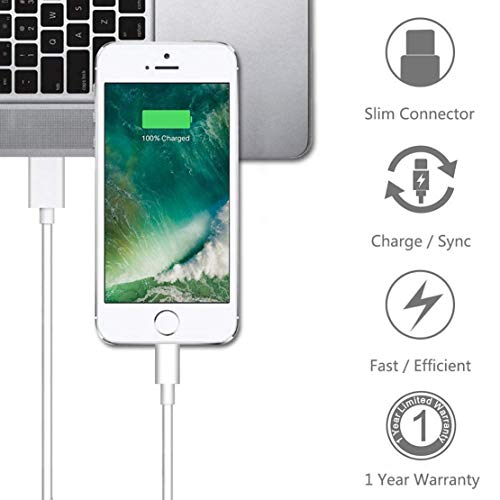 Original 2.4A 12W USB Wall Charger and 2 Pack Charging Cable for iPhone and iPad