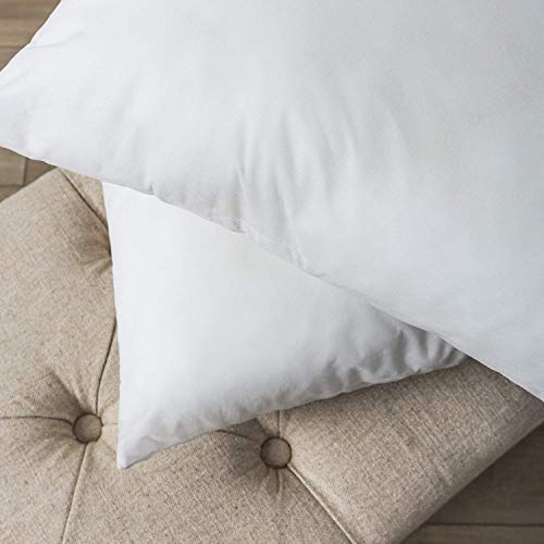 Phantoscope Square Decorative Pillow Inserts
