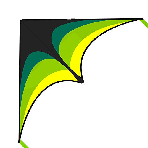 Mint's Colorful Delta Kite with Ribbons and String