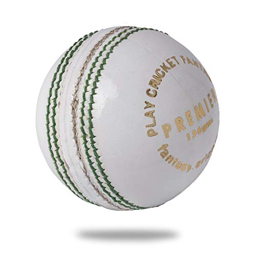 Cricnix  Premium Leather Cricket Ball