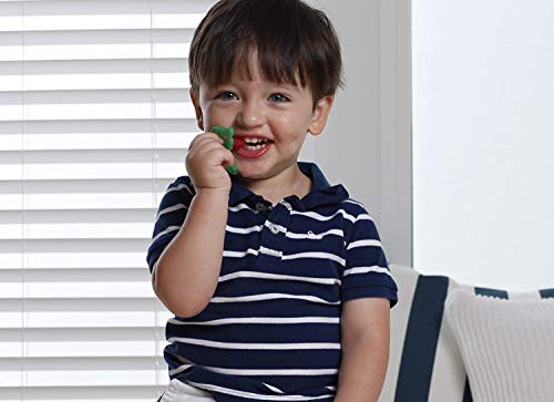 RaZbaby RaZberry Silicone Baby Teether Toy