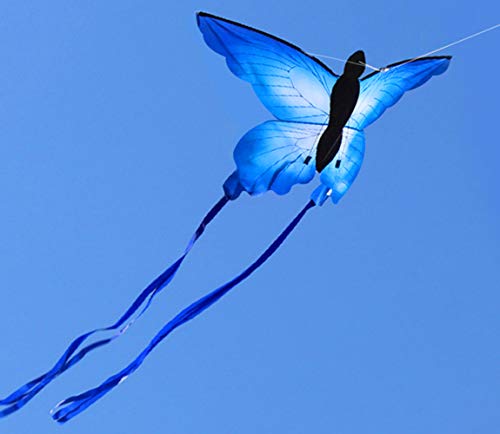 Beautiful Butterfly Kite for Kids by HENGDA