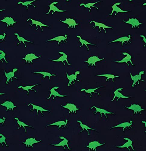 iscream Big Boys Fun Print Plush Shorts