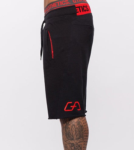 Men's Fitness Workout Shorts