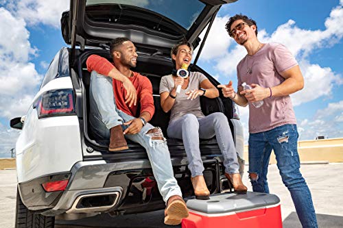 Carpool Karaoke Wireless Microphone System by Singing Machine