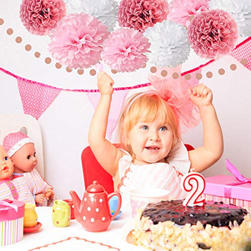Pink Rose Gold Birthday Party Decorations Set, Rose Gold Glittery Happy Birthday banner, Tissue Paper Pom, Circle Dots Garland and Tassel Garland for Birthday Party Decorations