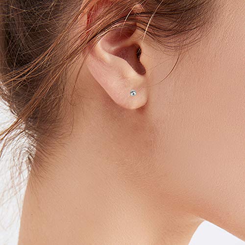 Titanium Ball Stud Earrings - High Polished