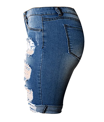 Distressed High Waist Short Jeans