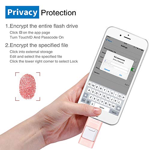 Sunany USB Flash Drive 256GB