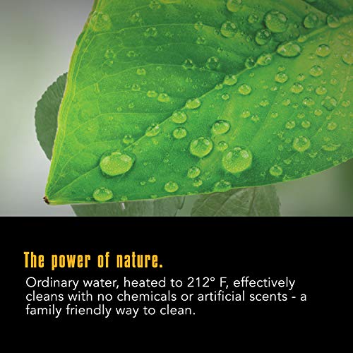McCulloch Canister Steam Cleaner with 20 Accessoriesk)