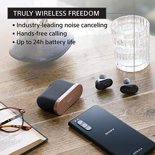 Sony WF-1000XM3 Noise Cancelling Earbuds with Alexa, Black