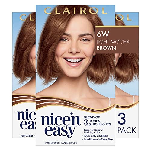 Clairol Nice'N Easy Crème Hair Color