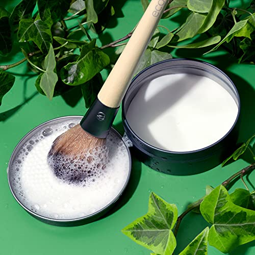 EcoTools Makeup Brush Set