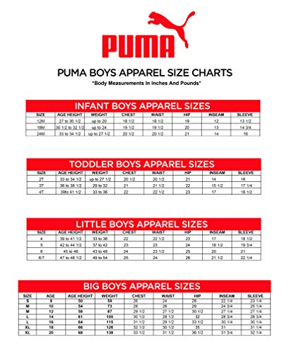 Puma Boys' Form Stripe Short Shorts