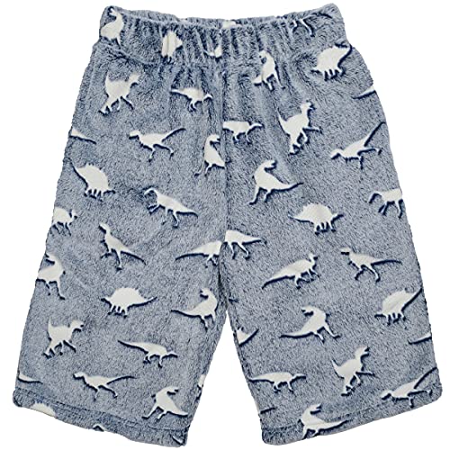 iscream Big Boys Fun Print Plush Shorts