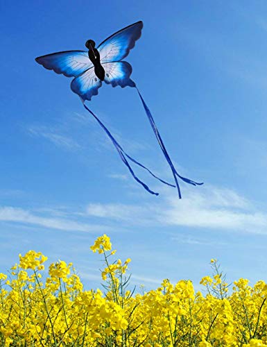 Beautiful Butterfly Kite for Kids by HENGDA