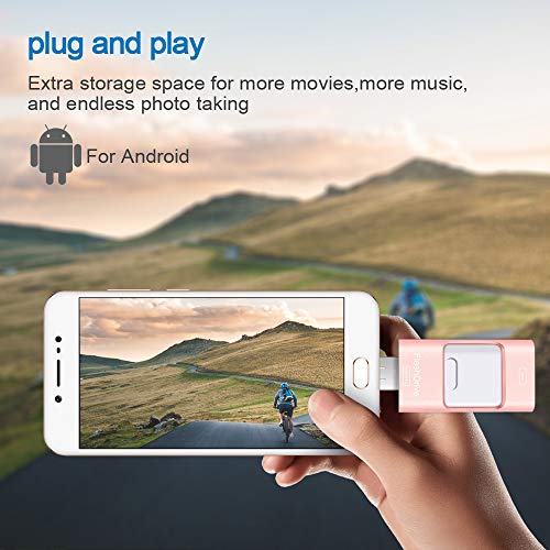 Sunany USB Flash Drive 256GB