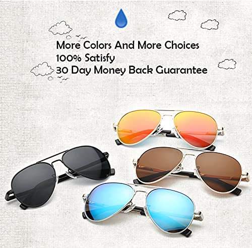 Polarized Aviator Sunglasses (Gold/Grey)
