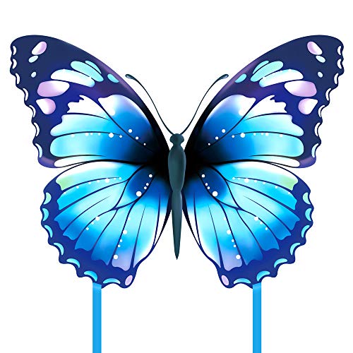 Blue Butterfly Kite