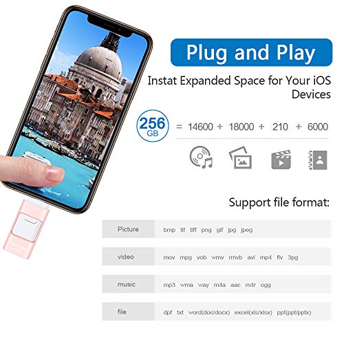 Sunany USB Flash Drive 256GB