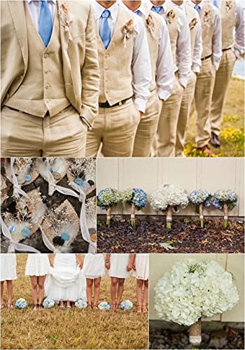 Beige Linen Slim Fit Men's Suit