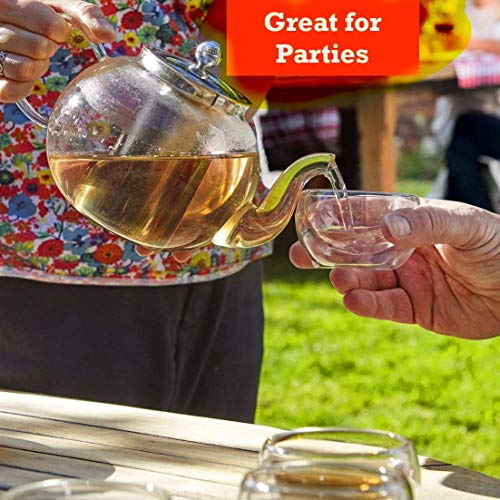 Tea Kettle Infuser Stovetop Gift Set