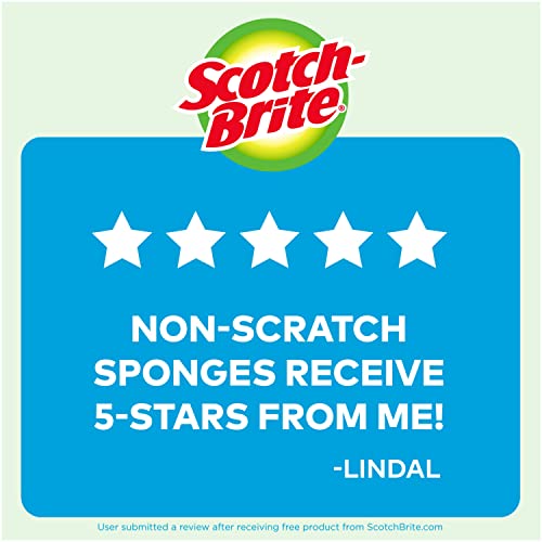 6-Pack Non-Scratch Scrub Sponges