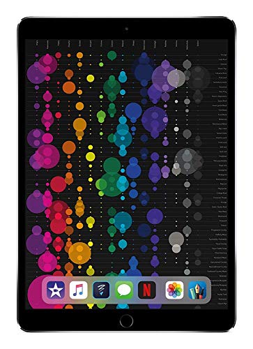 Apple iPad Pro 10.5in -64GB Wifi - 2017 Model - Gray (Renewed)